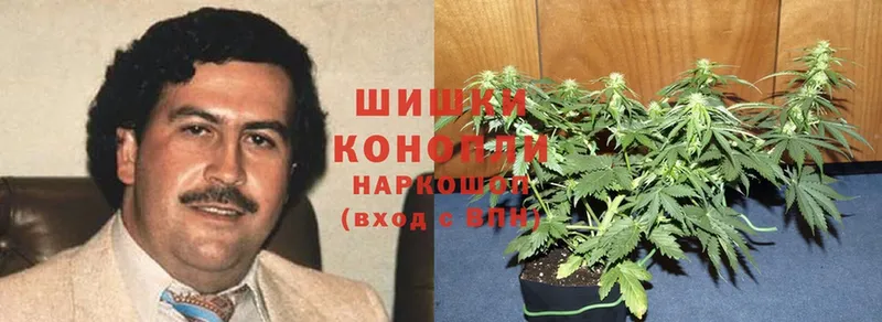 Канабис White Widow  Курлово 